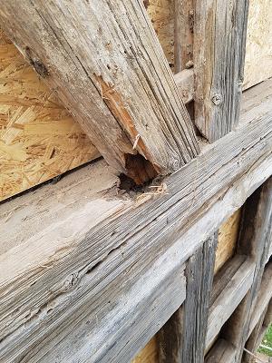 Sachverständigen Büro Bärtl