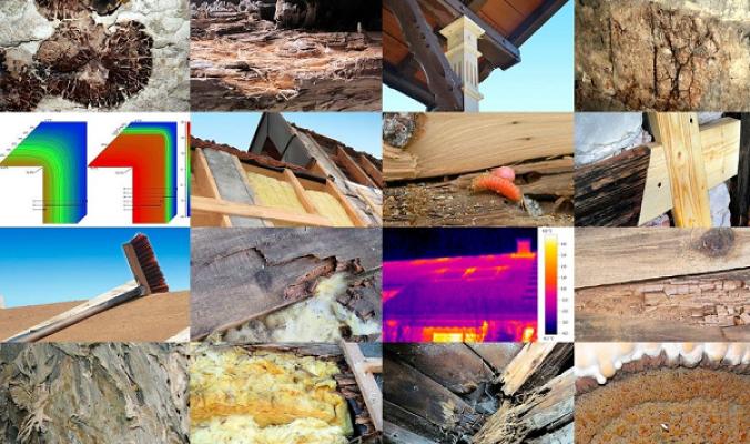 Michael Kessler, Sachverständiger für das Zimmerer-Handwerk