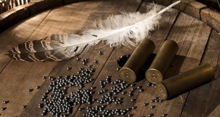 Gutachterinstitut für das Jagdwesen, Jagdwaffen, Jagdkriminalistik, Wild und Forstschutz