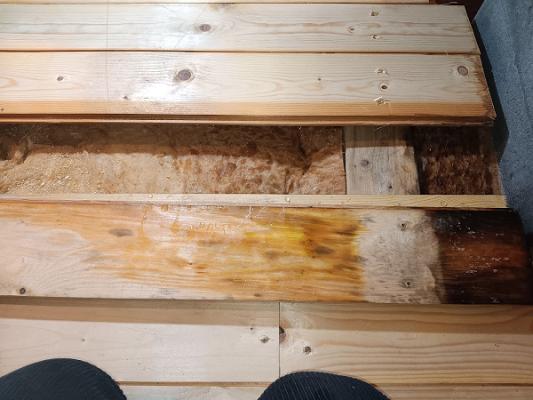 Sachverständigen Büro Netzel