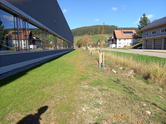 Doris Hug Büro für Grün- & Landschaftsplanung