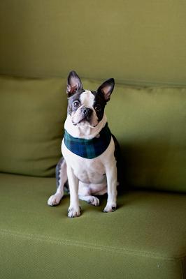 Sinnfalt Immobilien | Immobilienmakler Bad Krozingen