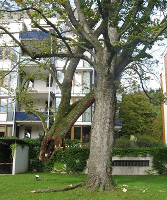 Sachverständigenbüro Dr. S. D. Ferner