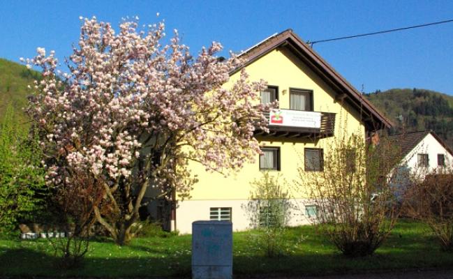 GeoIngenieure Mannsbart