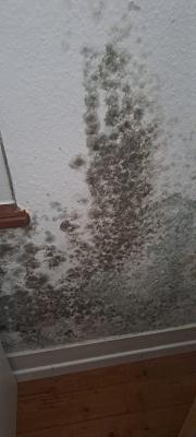 M-SA Sachverständiger