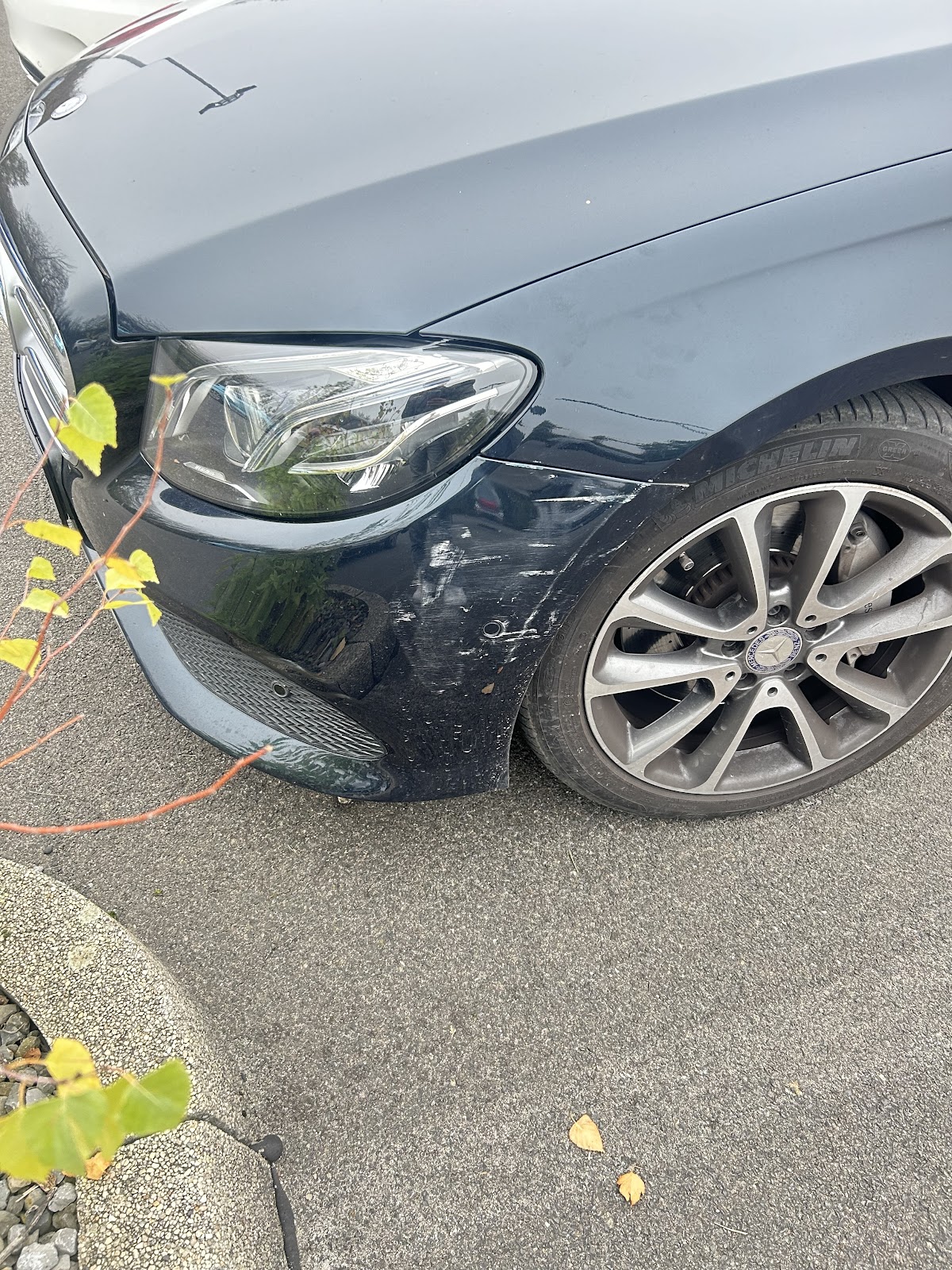 𝗞𝗳𝘇 𝗚𝘂𝘁𝗮𝗰𝗵𝘁𝗲𝗿 𝗦𝗮𝘂𝗲𝗿𝗹𝗮𝗻𝗱| 𝗞𝗳𝘇𝗚𝘂𝘁𝗮𝗰𝗵𝘁𝗲𝗿 𝗖𝗮𝘀𝘁𝗿𝗼𝗽 𝗥𝗮𝘂𝘅𝗲𝗹 - Bild 8